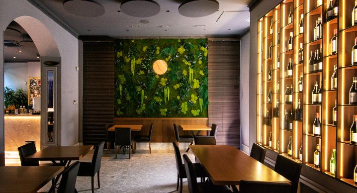 Anna by Borgia photo 3