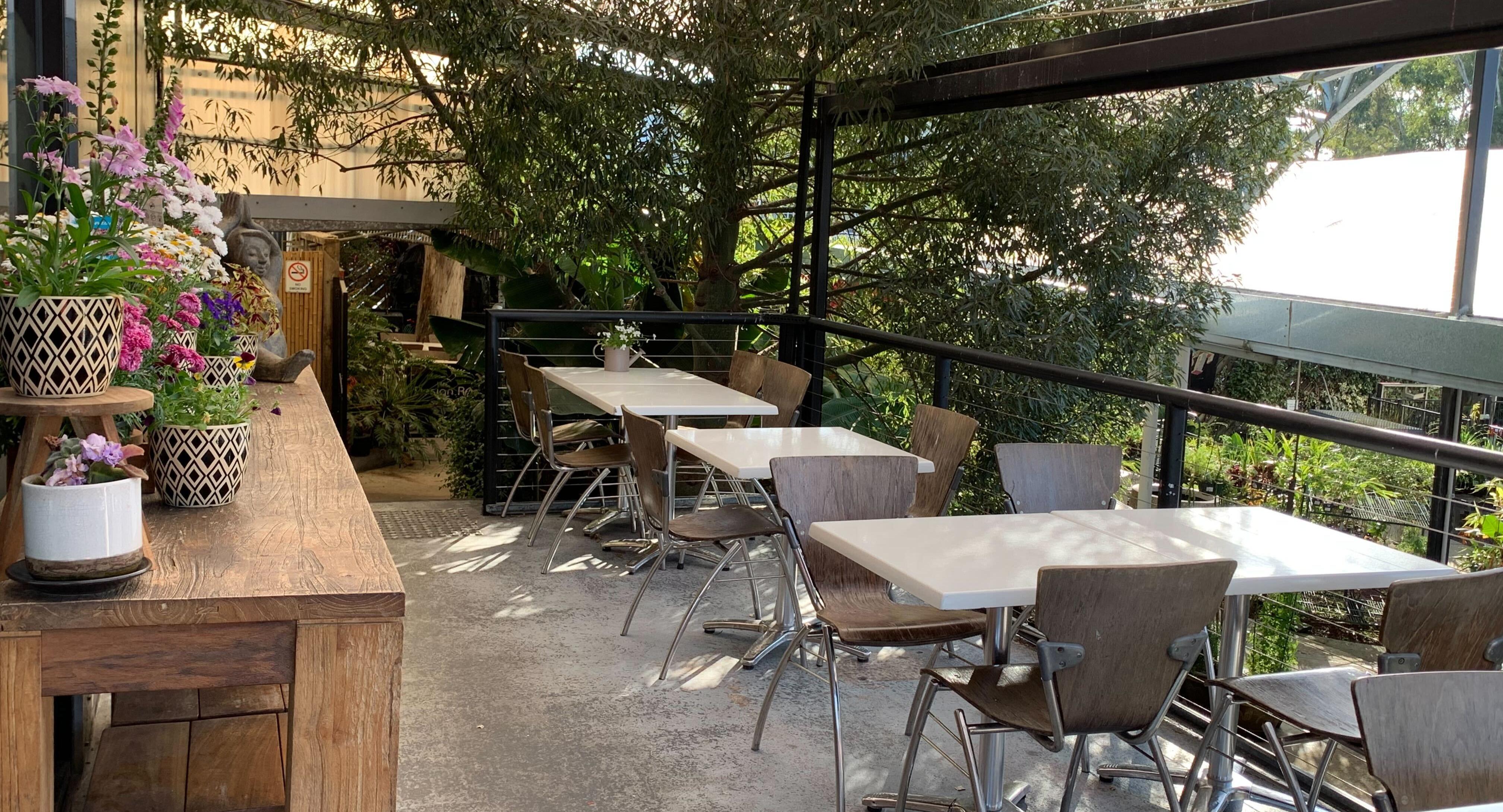 Cafe Harvest photo 2