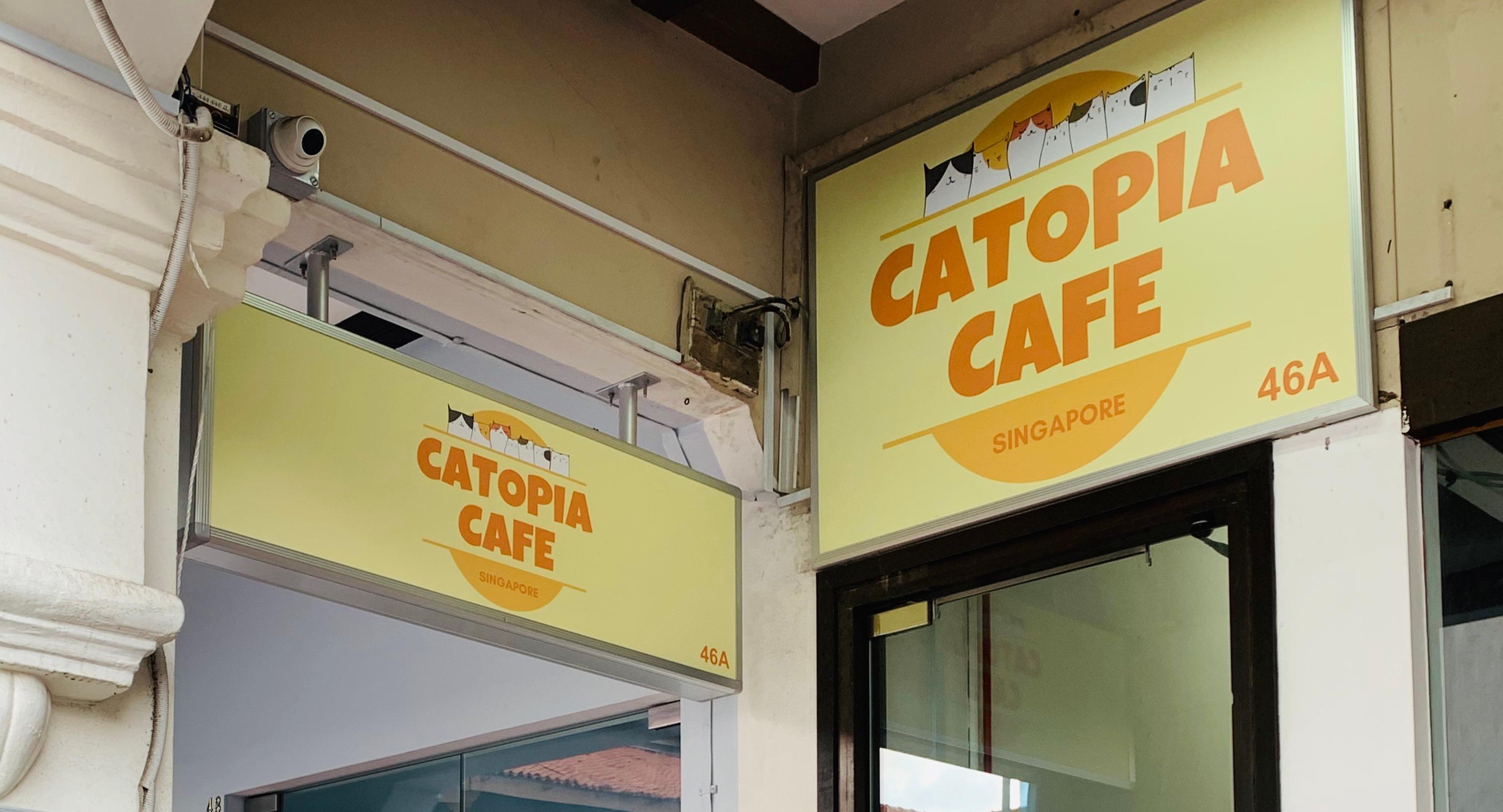 Catopia Singapore: Art Jamming x Retail x Cat Hotel photo 5