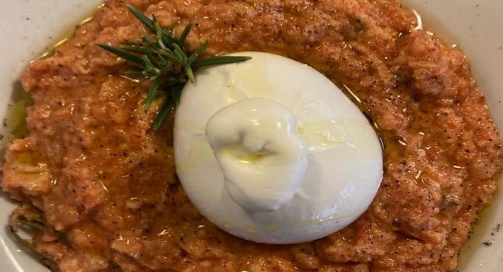 Cecosteria photo 4