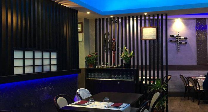 Dim Sum Fine Asian Cuisine