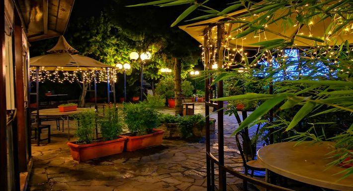 Garden Wok photo 4