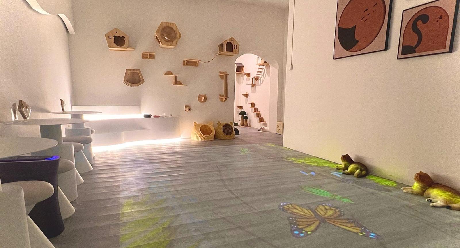 Gem Cat Cafe photo 1
