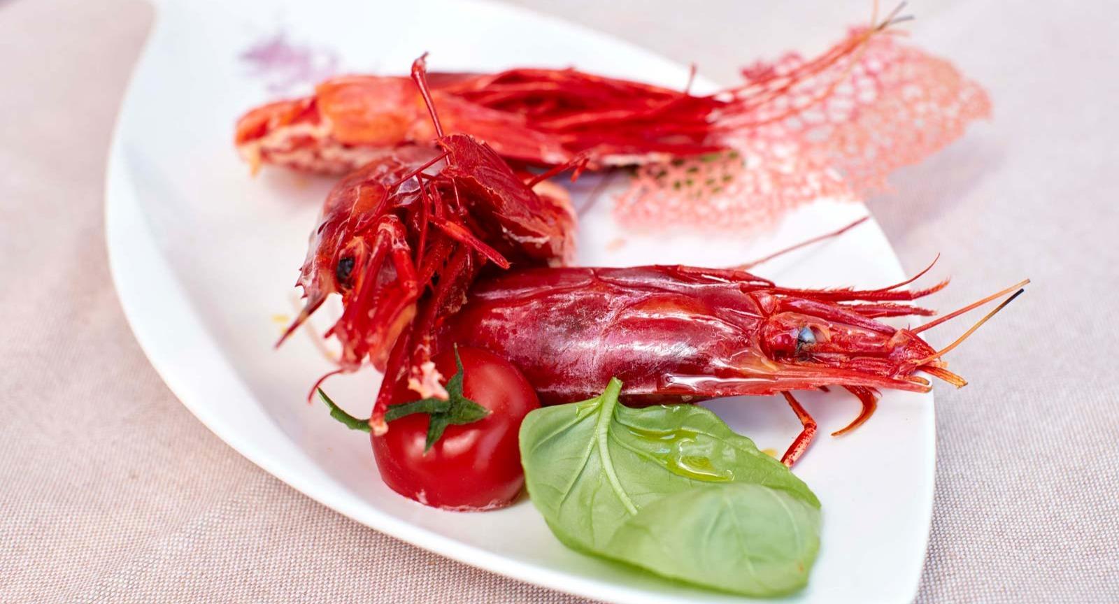 Graecalis - Ristorante di pesce