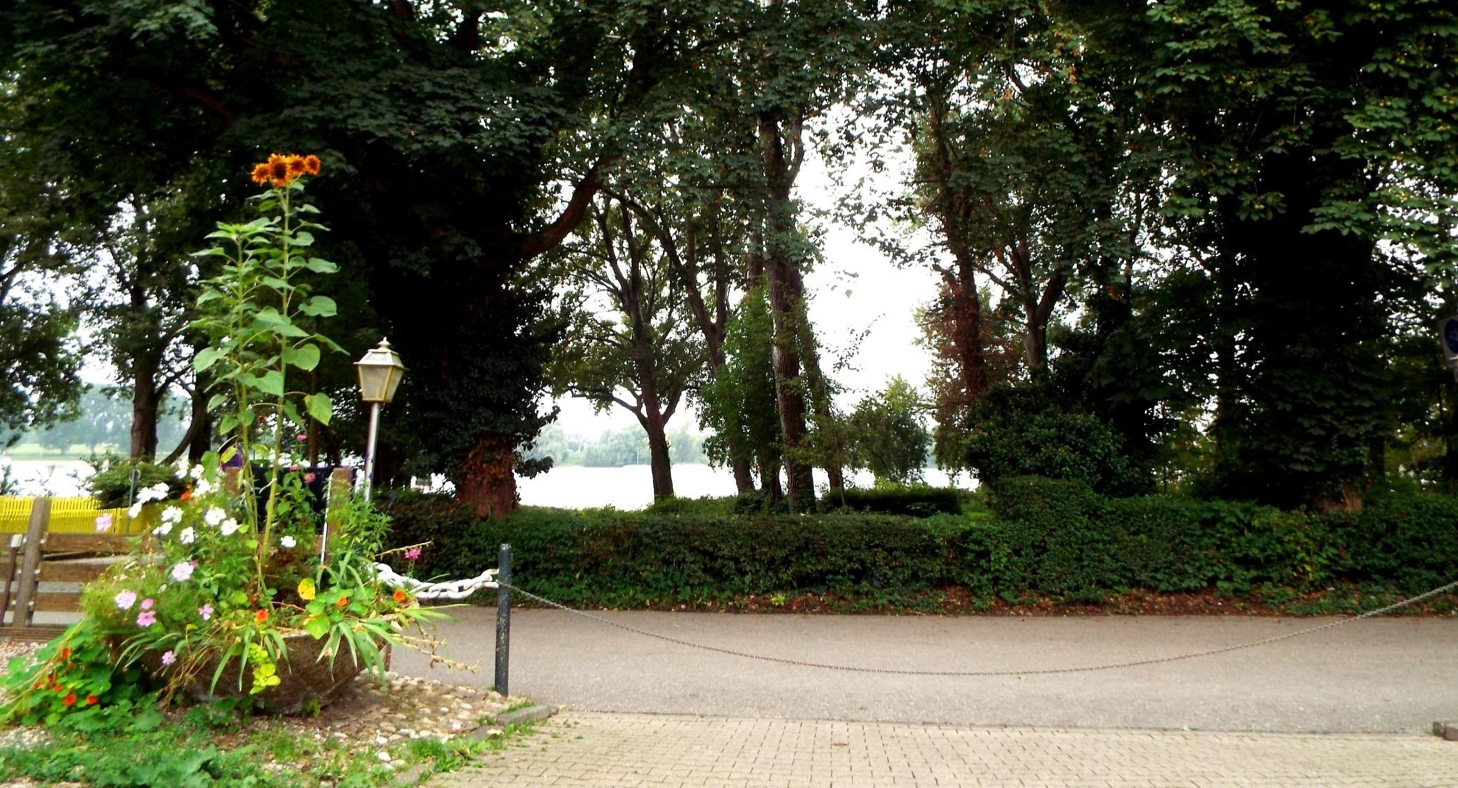 Haus Ausleger photo 2