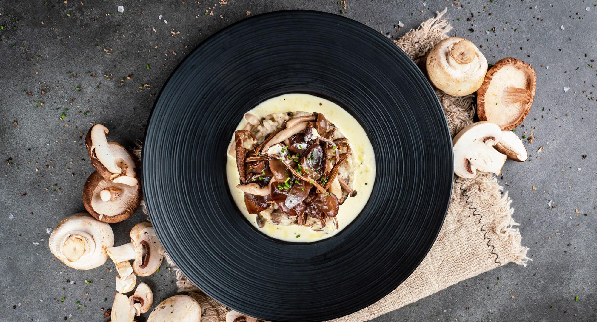 Hopscotch - Capitol photo 5