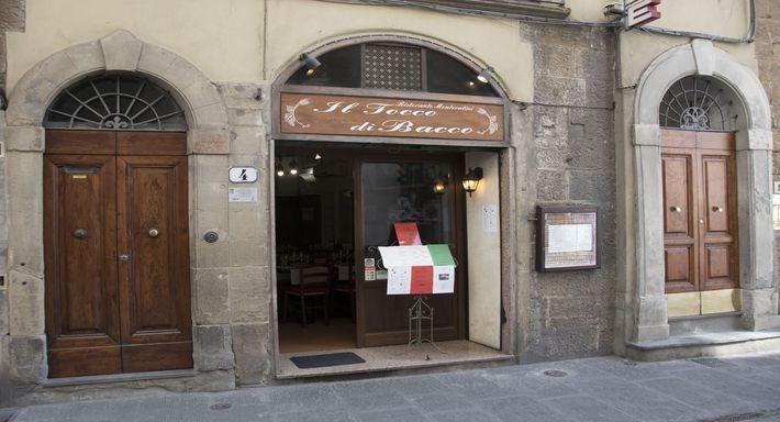 Il Tocco di Bacco photo 2