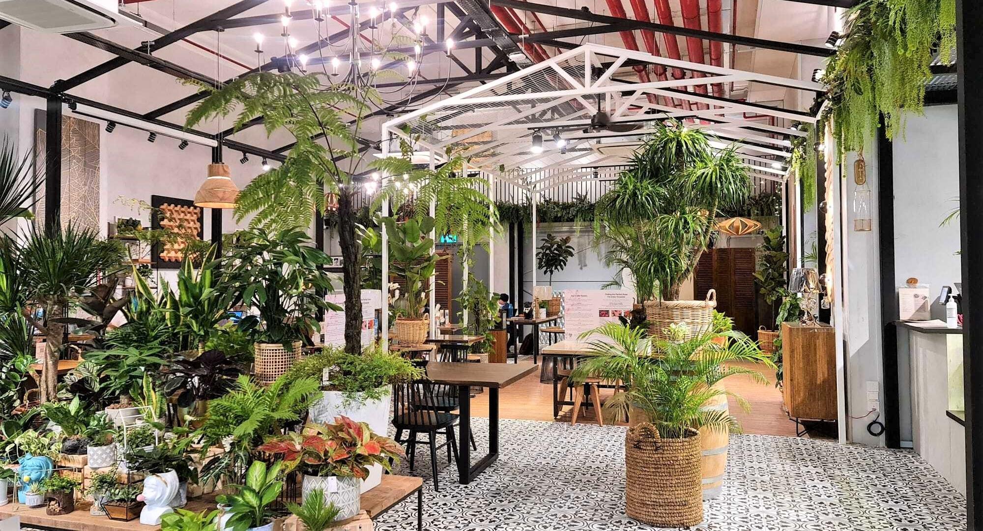 Knots Cafe and Living - Pasir Panjang photo 1