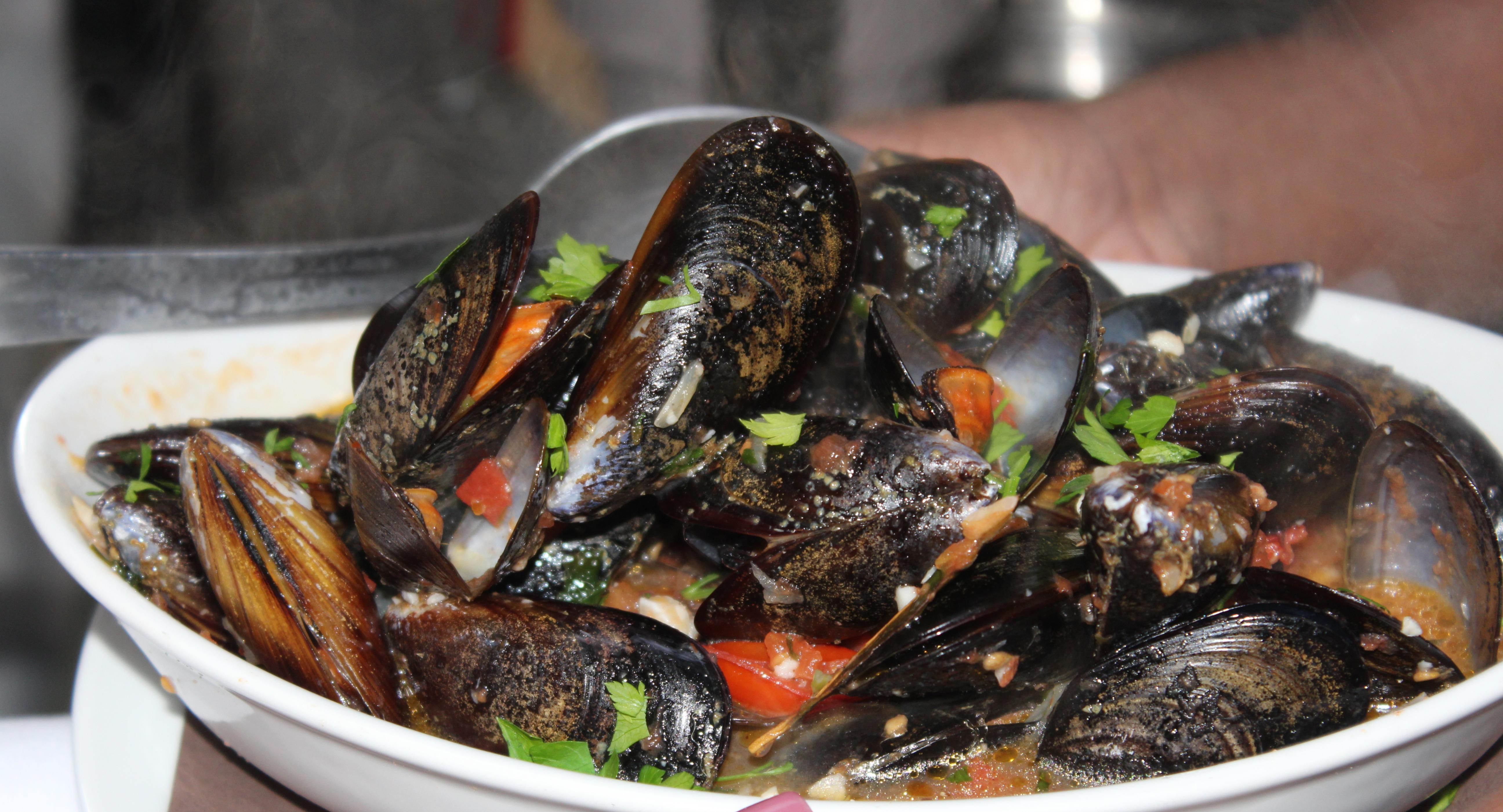 Kus-Kus piazza Virgilio