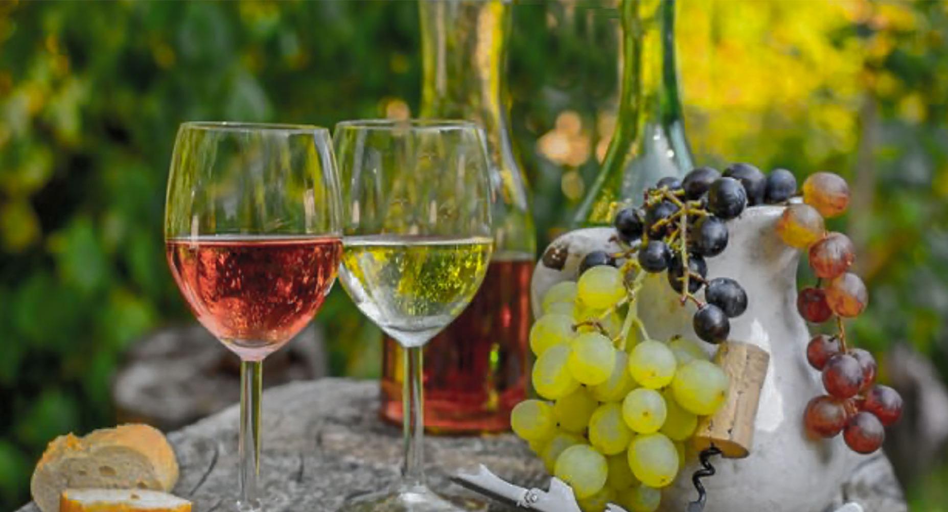 Landhaus Schupke photo 1