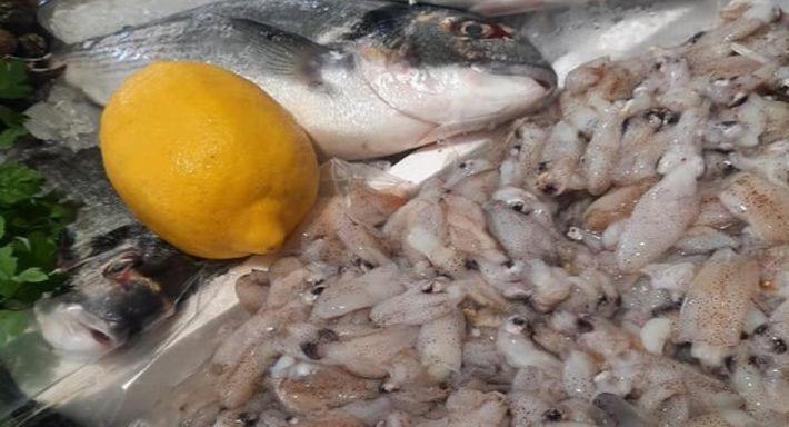 Mama Fish photo 4