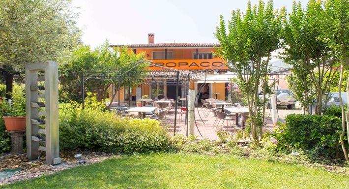 Neropaco photo 2