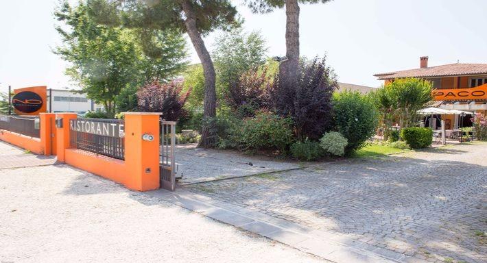 Neropaco photo 3