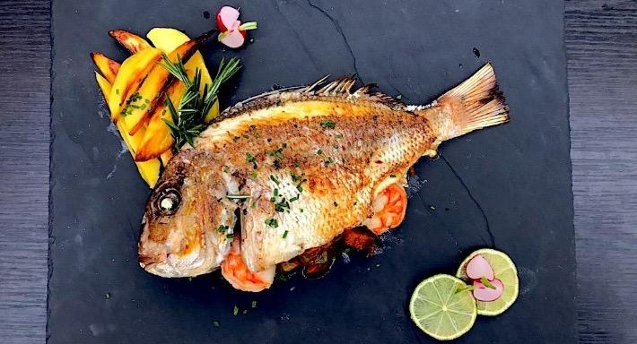 OSCAR im APROPOS photo 4