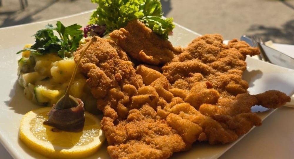 Restaurant Lingnerterrassen photo 1