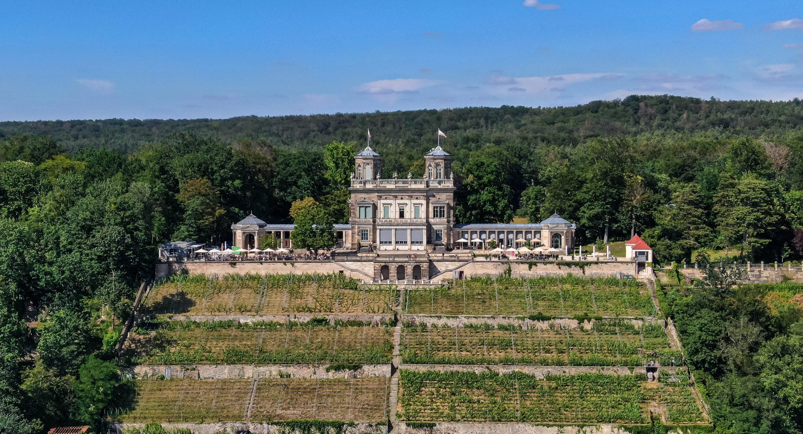 Restaurant Lingnerterrassen photo 2