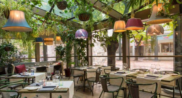 Ristorante Caruso photo 1