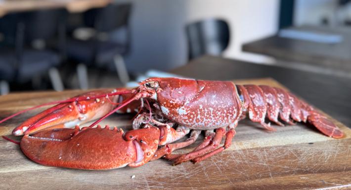 Scarpetta Pastabar photo 2