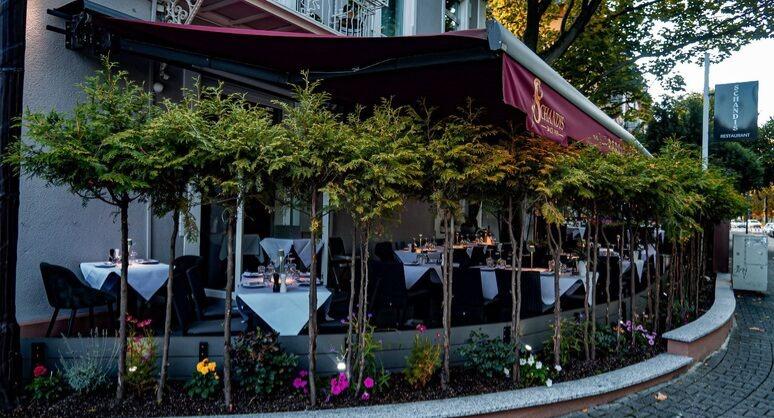 Schandis restaurant photo 2