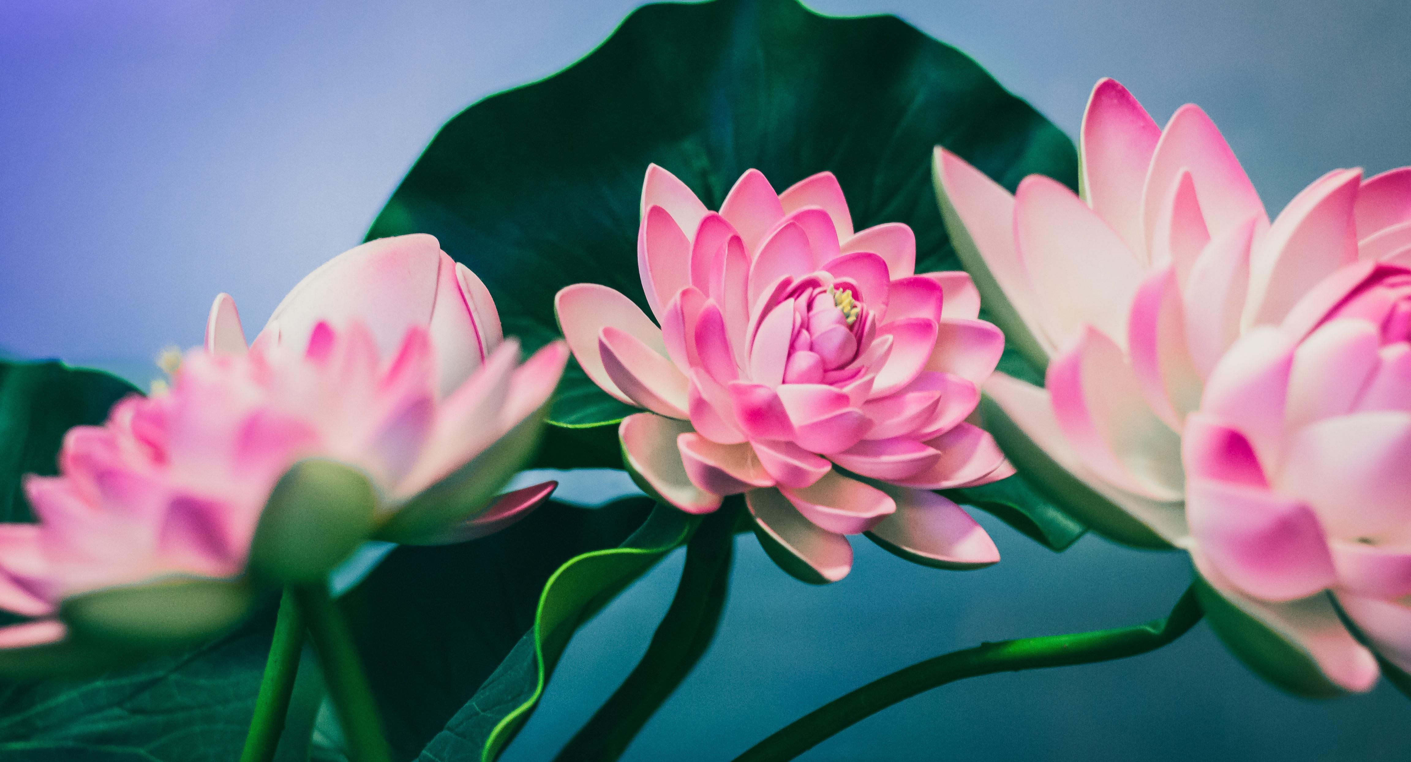 Sen Restaurant München photo 5