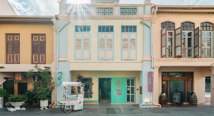 Suns Living Room photo 1