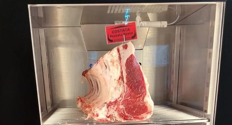 TEMPIO STEAK