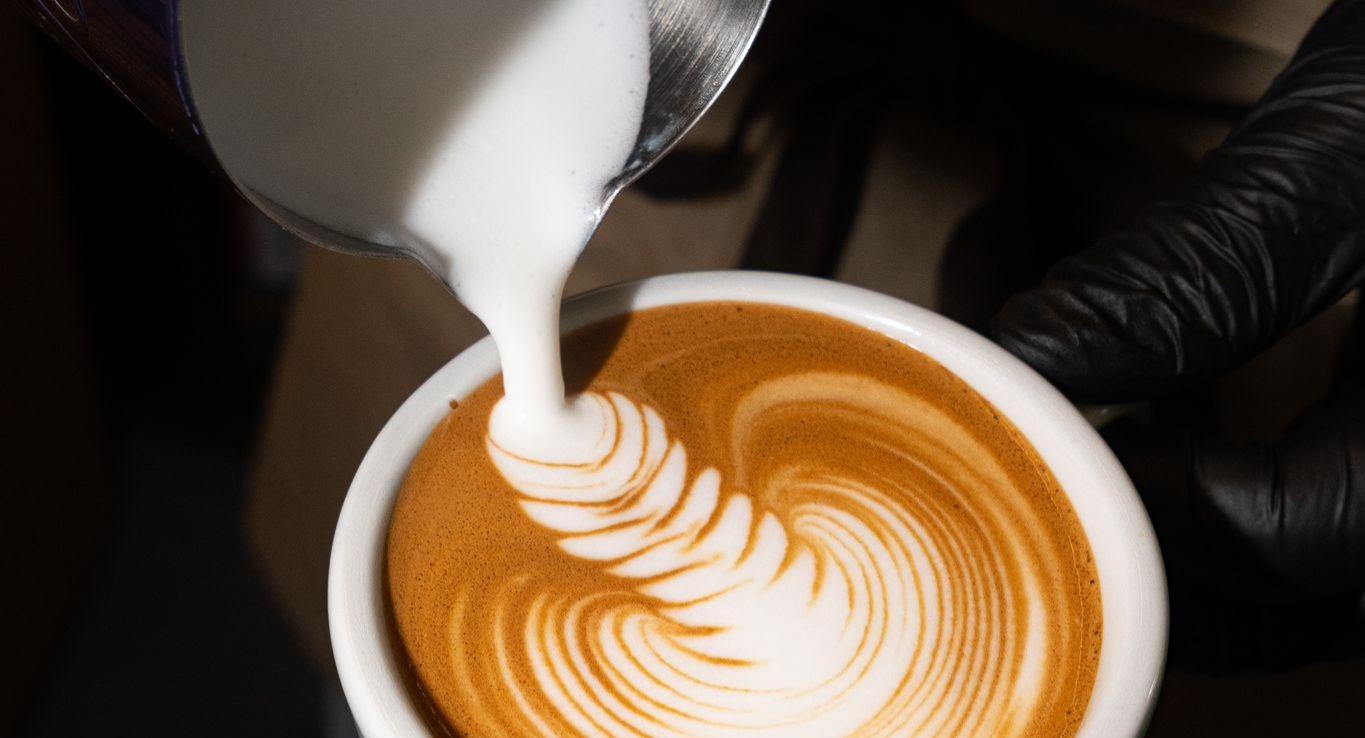 The Morgenmuffel photo 4