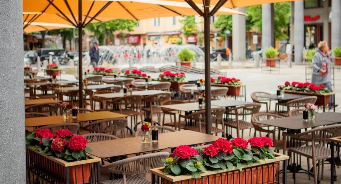 Vi Viet - Finest ASIAN Kitchen photo 1