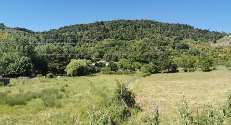 Villa Mirto photo 4